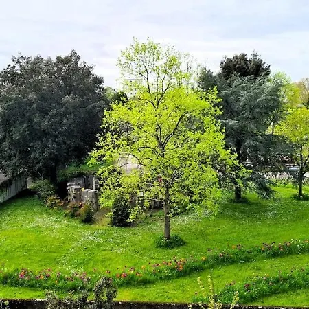 Yellow Currie : T3 Avec Terrasse Et Vue Sur Parc Nantes